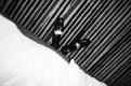Tuxedo Pumps, Leonard Kahlcke, Frankfurt Marriott Hotel
